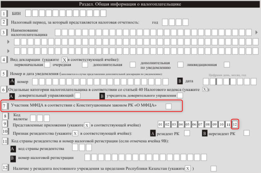 Код страны налогоплательщика. Бланки формы 100. Налоговая отчетность форма 100. Форма 100.00. Форма 100 заполненная.